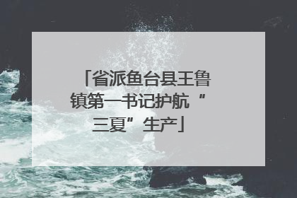 省派鱼台县王鲁镇第一书记护航“三夏”生产