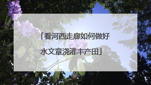 看河西走廊如何做好水文章浇灌丰产田