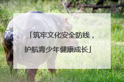 筑牢文化安全防线，护航青少年健康成长