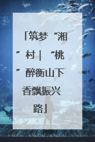 筑梦“湘”村｜“桃”醉衡山下 香飘振兴路