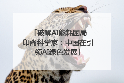 破解AI能耗困局 印裔科学家：中国在引领AI绿色发展