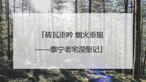 砖瓦重吟 烟火重现——泰宁老宅涅槃记