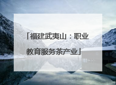 福建武夷山：职业教育服务茶产业