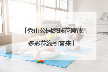 秀山公园绣球花盛放 多彩花海引客来