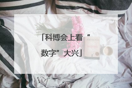 科博会上看“数字”大兴