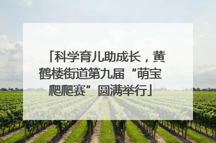 科学育儿助成长，黄鹤楼街道第九届“萌宝爬爬赛”圆满举行