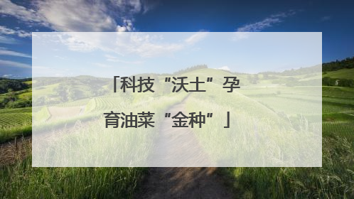 科技“沃土”孕育油菜“金种”