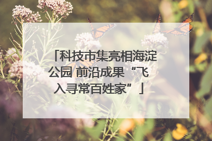 科技市集亮相海淀公园 前沿成果“飞入寻常百姓家”