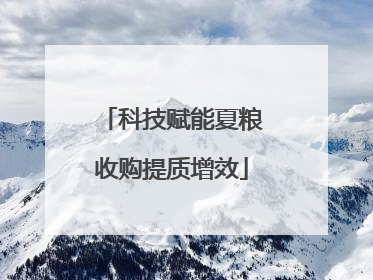 科技赋能夏粮收购提质增效