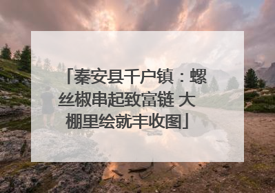 秦安县千户镇：螺丝椒串起致富链 大棚里绘就丰收图
