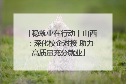 稳就业在行动丨山西：深化校企对接 助力高质量充分就业