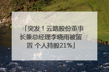 突发！云路股份董事长兼总经理李晓雨被留置 个人持股21%