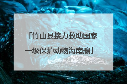 竹山县接力救助国家一级保护动物海南鳽