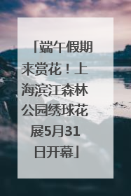端午假期来赏花！上海滨江森林公园绣球花展5月31日开幕