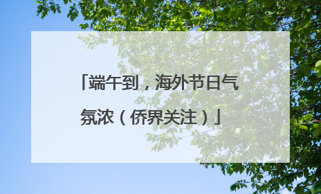 端午到，海外节日气氛浓（侨界关注）
