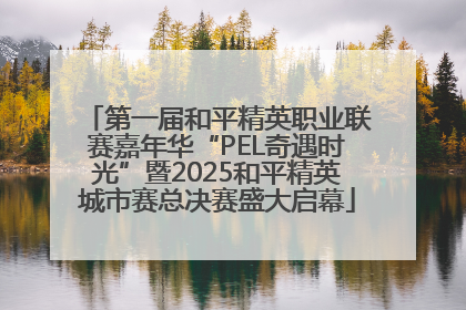 第一届和平精英职业联赛嘉年华“PEL奇遇时光”暨2025和平精英城市赛总决赛盛大启幕