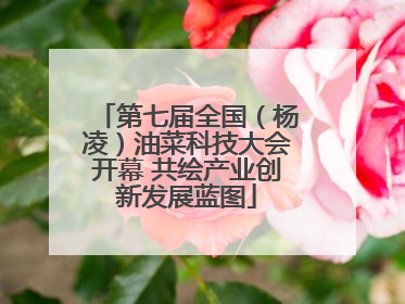 第七届全国（杨凌）油菜科技大会开幕 共绘产业创新发展蓝图