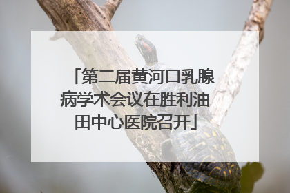 第二届黄河口乳腺病学术会议在胜利油田中心医院召开