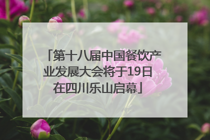 第十八届中国餐饮产业发展大会将于19日在四川乐山启幕