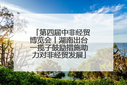 第四届中非经贸博览会丨湖南出台一揽子鼓励措施助力对非经贸发展