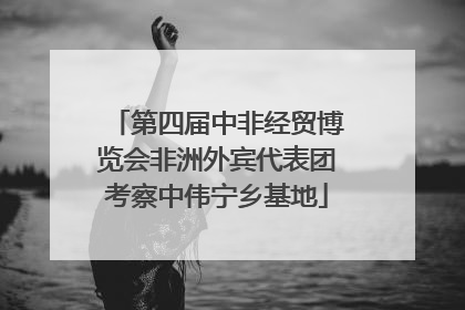 第四届中非经贸博览会非洲外宾代表团考察中伟宁乡基地