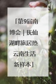 第9届南博会｜抚仙湖畔旅居热 云南生活新样本