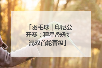 羽毛球｜印尼公开赛：程星/张驰混双首轮晋级