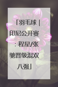 羽毛球｜印尼公开赛：程星/张驰晋级混双八强