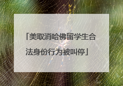 美取消哈佛留学生合法身份行为被叫停