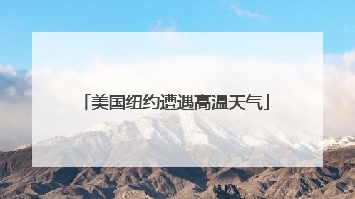 美国纽约遭遇高温天气