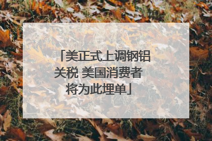 美正式上调钢铝关税 美国消费者将为此埋单