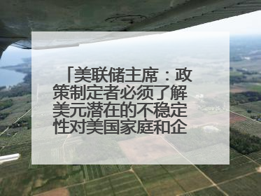 美联储主席：政策制定者必须了解美元潜在的不稳定性对美国家庭和企业的影响