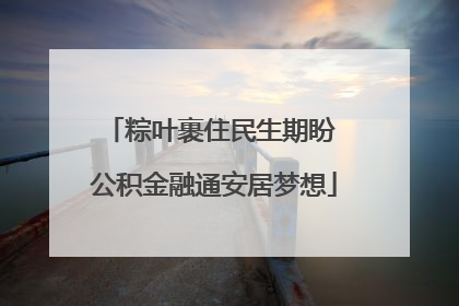 粽叶裹住民生期盼 公积金融通安居梦想