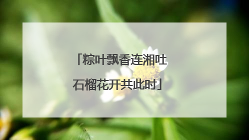 粽叶飘香连湘吐 石榴花开共此时