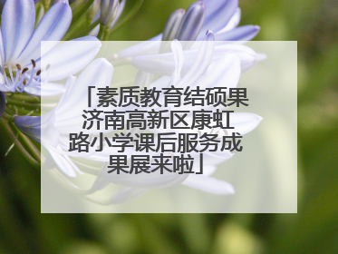 素质教育结硕果 济南高新区康虹路小学课后服务成果展来啦