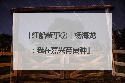 红船新事⑦丨杨海龙：我在嘉兴育良种