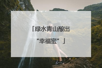 绿水青山酿出“幸福蜜”