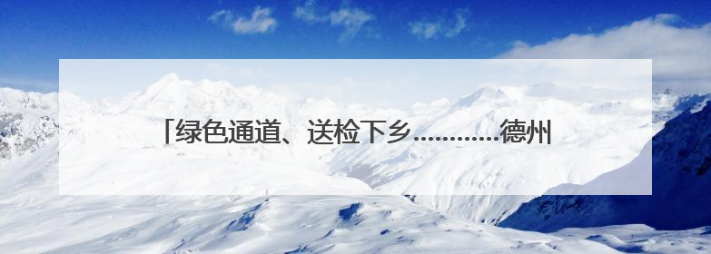 绿色通道、送检下乡…………德州高效办理农机业务4200多件