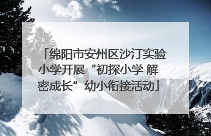 绵阳市安州区沙汀实验小学开展“初探小学 解密成长”幼小衔接活动