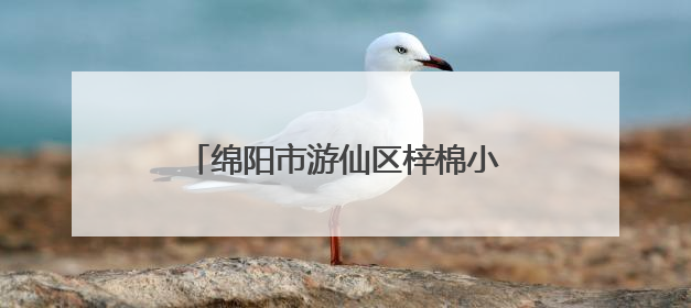绵阳市游仙区梓棉小学开展小学语文“富乐课堂”教研活动