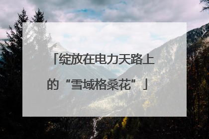绽放在电力天路上的“雪域格桑花”