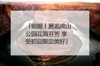 组图丨邂逅虎山公园花海芬芳 享受初夏限定美好