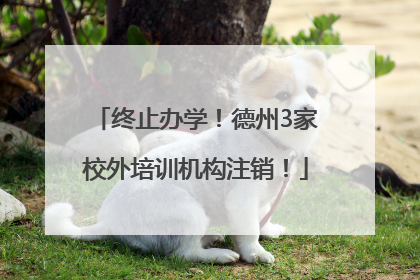 终止办学！德州3家校外培训机构注销！