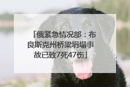 俄紧急情况部：布良斯克州桥梁坍塌事故已致7死47伤