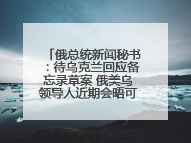 俄总统新闻秘书：待乌克兰回应备忘录草案 俄美乌领导人近期会晤可能性小