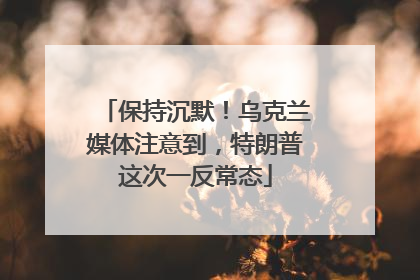 保持沉默！乌克兰媒体注意到，特朗普这次一反常态