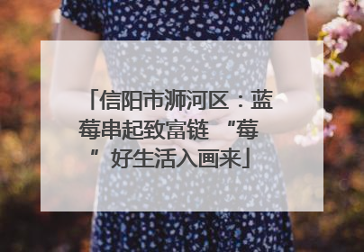 信阳市浉河区：蓝莓串起致富链 “莓”好生活入画来