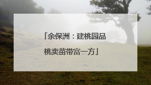 余保洲：建桃园品桃卖苗带富一方