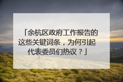 余杭区政府工作报告的这些关键词条，为何引起代表委员们热议？