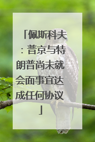佩斯科夫：普京与特朗普尚未就会面事宜达成任何协议